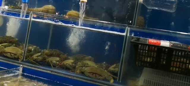 ����ĺ����Ƿ����֡���������ʵ�飬Ϊ�����أ�