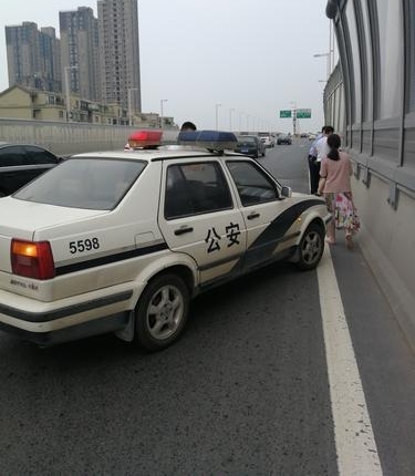 赞!小猫被困高架,多亏他们救了它