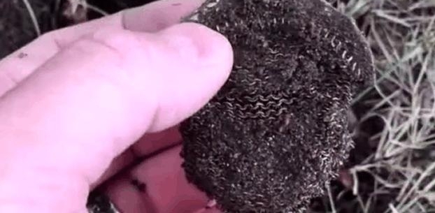 ����Ұ�ⴹ������һ����������˿����ϴ�ɾ����޲���