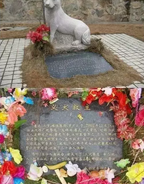 �����@��Щ��Ƭû��һ�Ż񽱣�ȴ��ů����������Ȧ
