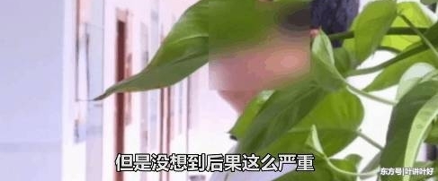 С����Ħ�г�����3351�ַ����18�����15�죬����