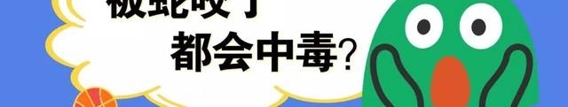 深圳40斤巨蟒闯进居民院子疯狂觅食,抓获后竟吐出一整只鸡