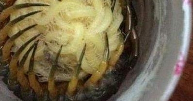 СŮ������Ͱ��Ķ��� ������ſ� һ�ж�������