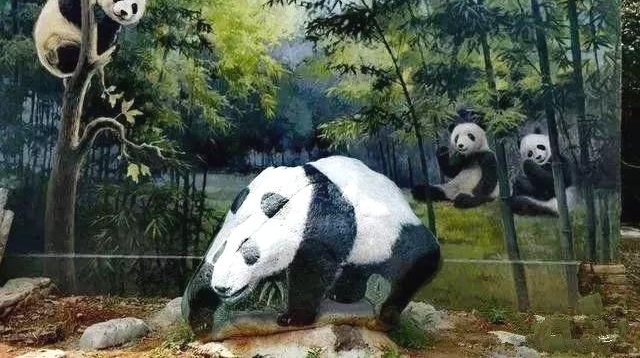 因为这些石头太逼真了,很多人都把它们看错了!