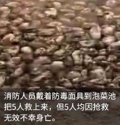 村民洗泡菜池晕倒,4人救援又倒地,抢救无效全身亡