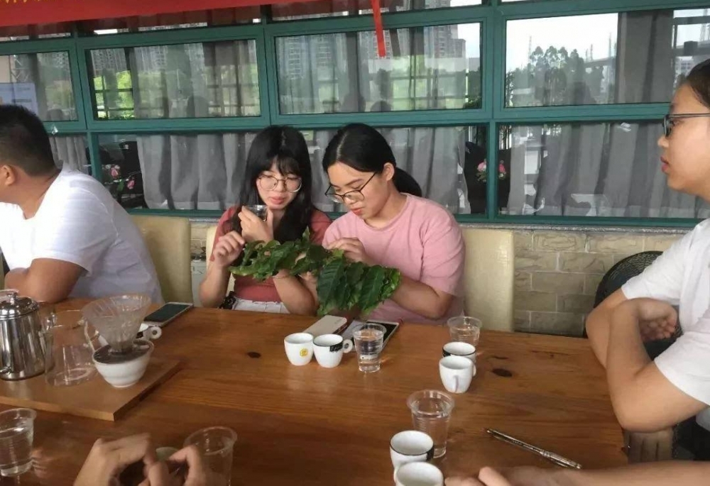 【大学生活动】体验咖啡的甜涩味道,感悟青春的美好时光!