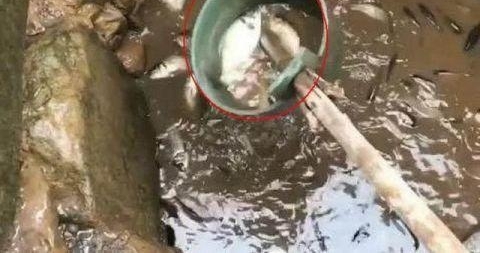 ���������ž���������ˮ���֮�󣬾��׵Ķ������˺ܾ�ϲ