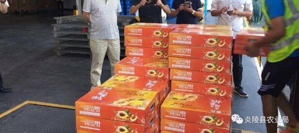 上半年株洲市商务和开放型经济表现可圈可点