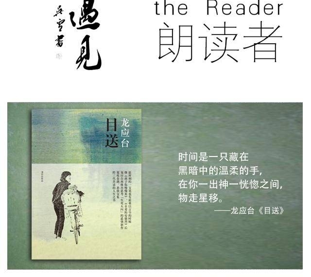 翻看朋友圈的这些偷拍照,我竟再次泪如雨下