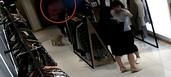 ���޵��Ա�ץ���� 10�����ŭ��ĸ�ף��㶪�ˣ�