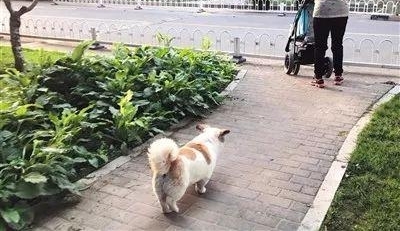 ����Ȱ��㳡�޹� ����һ����ָɲ����˱���Ա