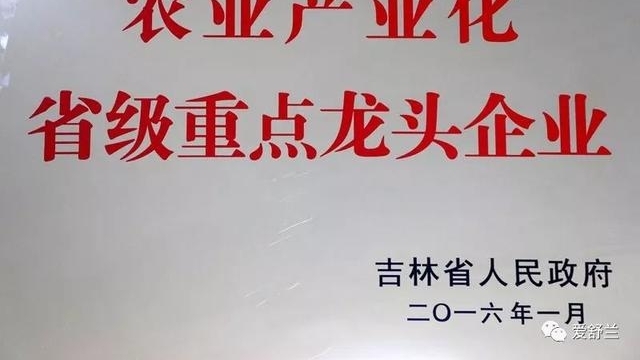 舒兰故事|张永生:南“耳”北移 炫出多彩人生