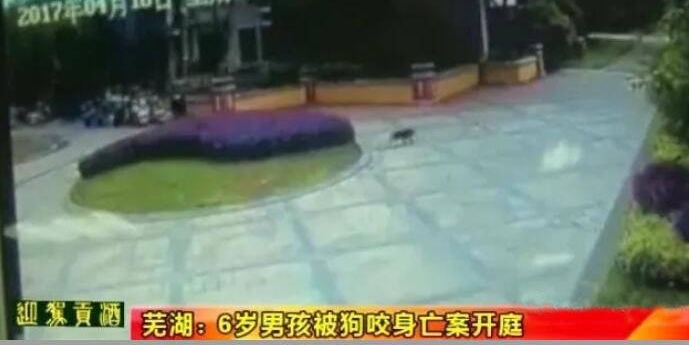 6���ͯ����ҧ�˷�100���룬��������Ȼ�������о��⳥78��