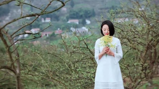 有人说它平庸,有人说最出色,对24-70你怎么看?