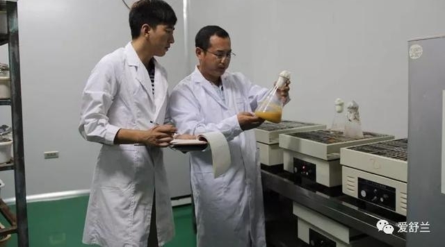 舒兰故事|张永生:南“耳”北移 炫出多彩人生