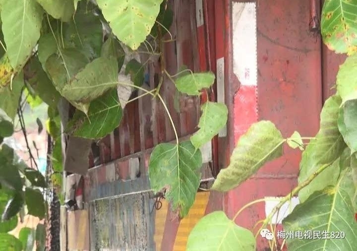 ��Ҫ�����������β�ͼӳ�6.6�ף������־ȫ���ڣ�����ҹ�ܵ�÷����......