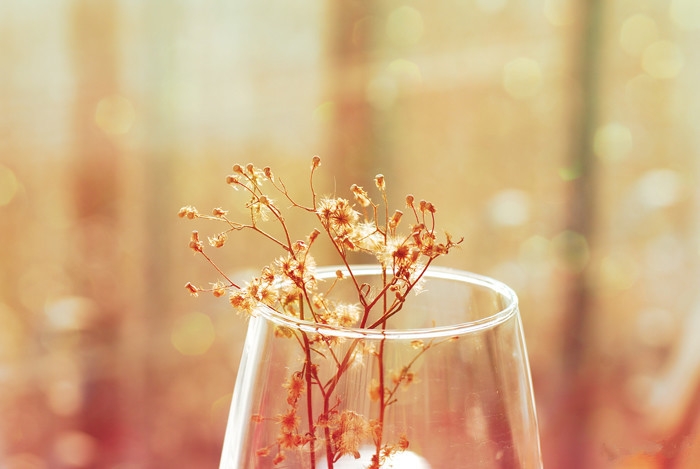 С˸ϵlomoͼ