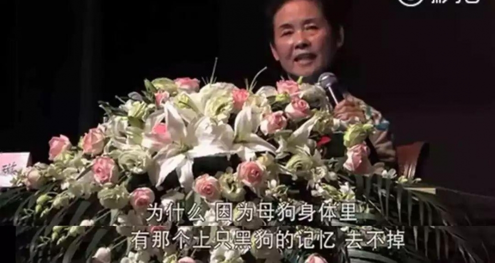 ����¶�첲�������Լ��������ַ��ġ�С���顱�׷�������