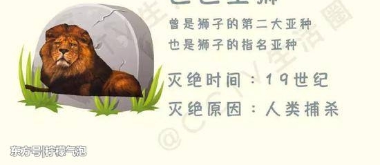 ̫���̣�������Ϧ������̵����� �ܶ��˻���֪��