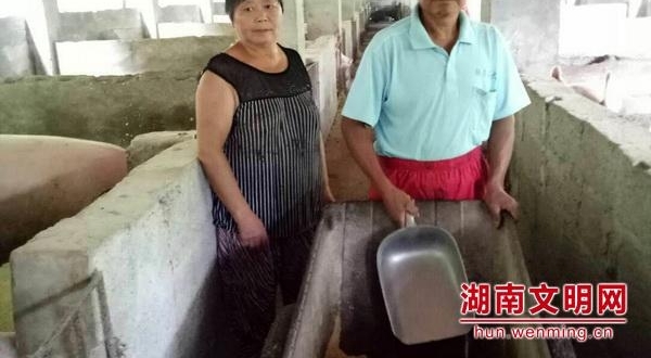 �����Ϻ��˰�7�°񵥷��� 31���ϰ��35�����