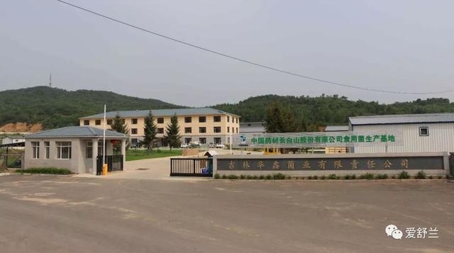 舒兰故事|张永生:南“耳”北移 炫出多彩人生