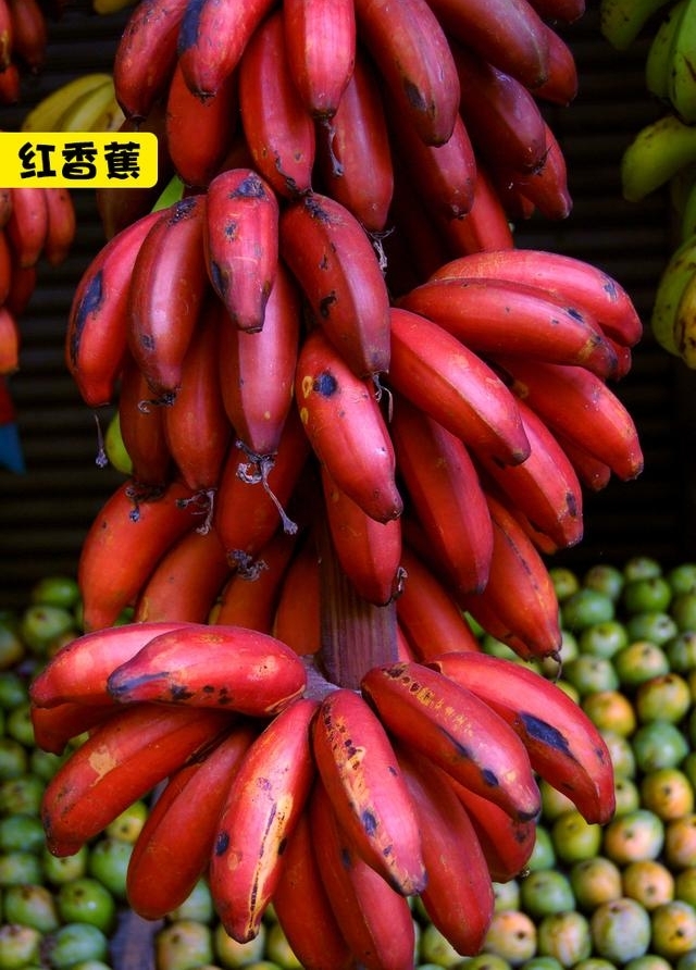 ����������磬������˲���֪����14����Ȥ��ʵ
