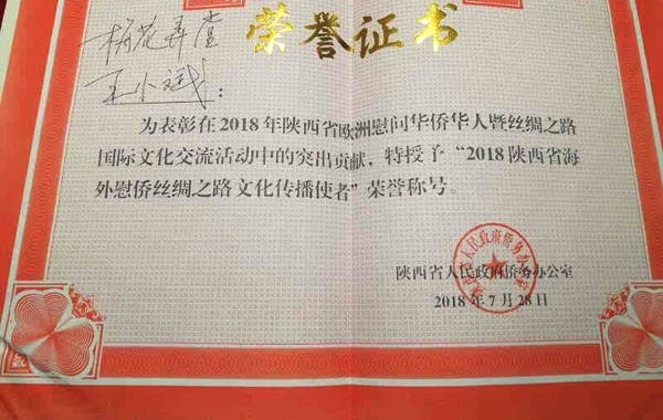 从中国蓝田许庙走出来的青年新秀王小斌