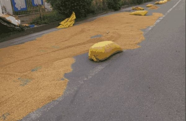 ��������ũ����·��ɹ���ȳ����ϰ��� ����Ӱ�콻ͨ��ȫ����