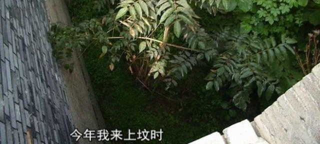 ���ģ���ؽ���ʮ����� ���˼���ֻ����������