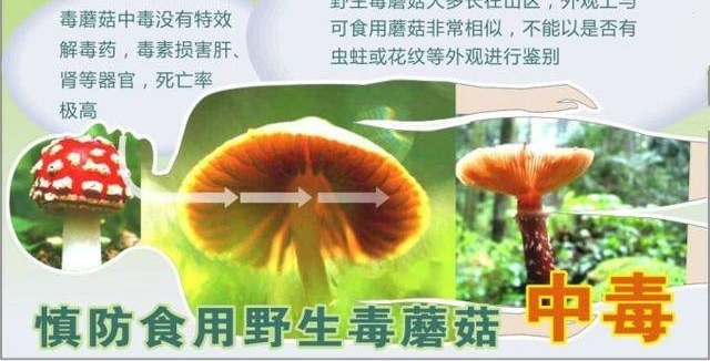 һ���˳��극��ŮͯͻȻ���У�ǧ����ҳ��ⶫ����