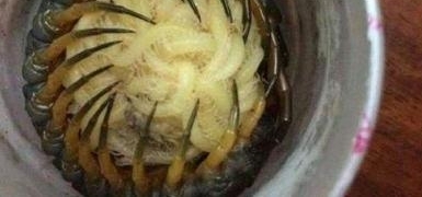 СŮ������Ͱ��Ķ��� ������ſ� һ�ж�������