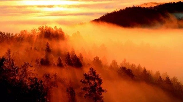 ҹ�� | �����ͷ����Ц�һ��������