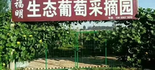 ��˵���Ǵ󳧵��������ˣ��ߣ���ժȥ��