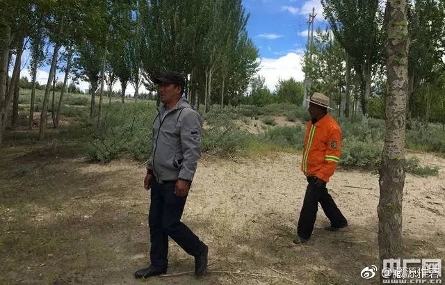 “父子兵”上阵四十载在世界最后一方净土“接力”护林
