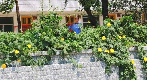 һ��Ϊ������ Ϊ������һ��