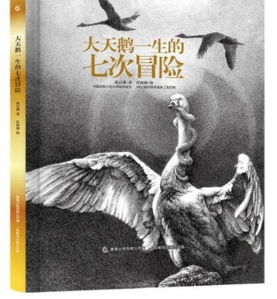 ţ�ġ����衢�Ϸ������ 2018�Ϻ���չ��ͷ����Щ��