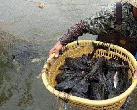 ��������������㡱����һ��ʱ�䣬�ͳԵı���ֳ�ˣ�