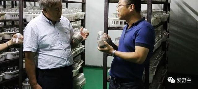 舒兰故事|张永生:南“耳”北移 炫出多彩人生