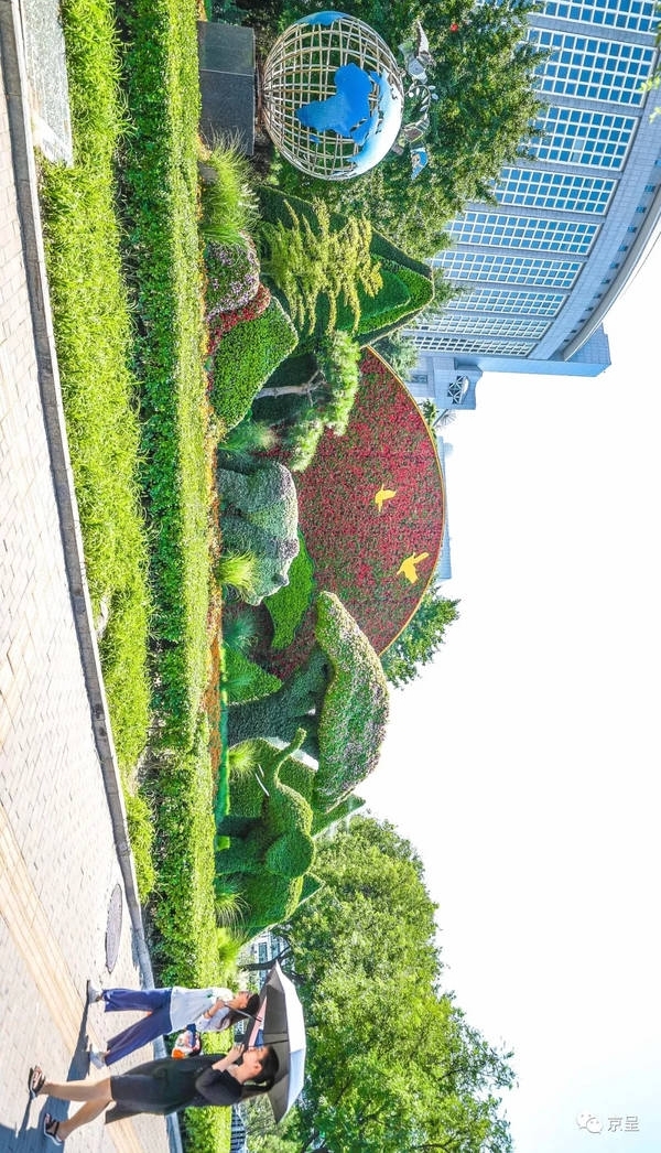 �������ǽ�ͷ����������ֻ̳Ϊӭ�����ʢ��