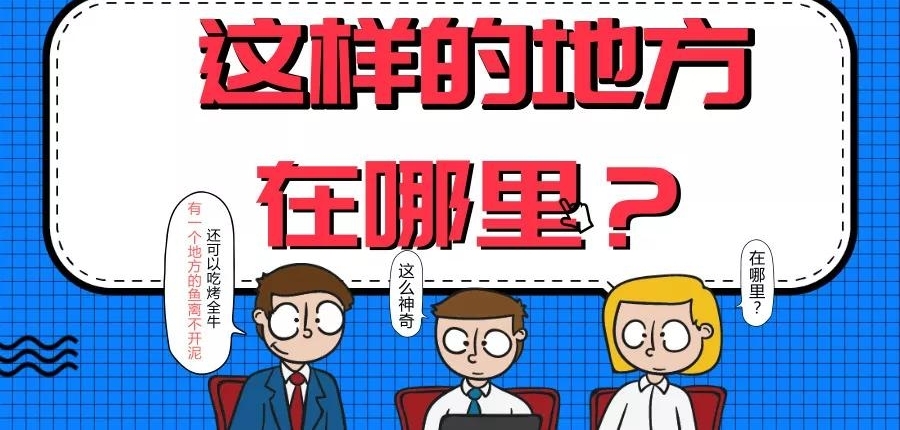 焉耆的霸气美食势不可挡!烤全牛、泥巴鱼、羊肚包鱼!!够不够新鲜?!够不够酷炫?!