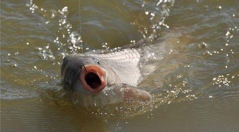 Ϊʲô���������Ҳ�ע���ʱ���Ϲ�����������˯�ŵ�ʱ��ϲ���Ϲ�