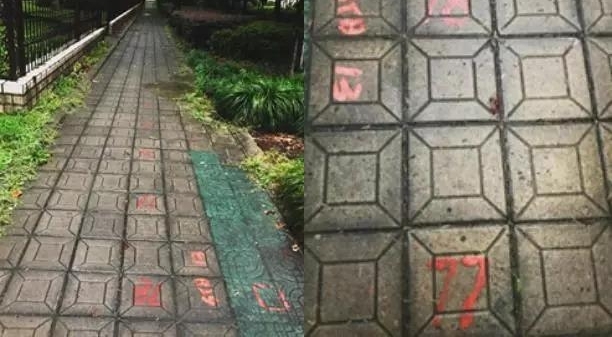 ���80��Ժʿ���10���չ˻�������:ÿ���ñ�һǧ��