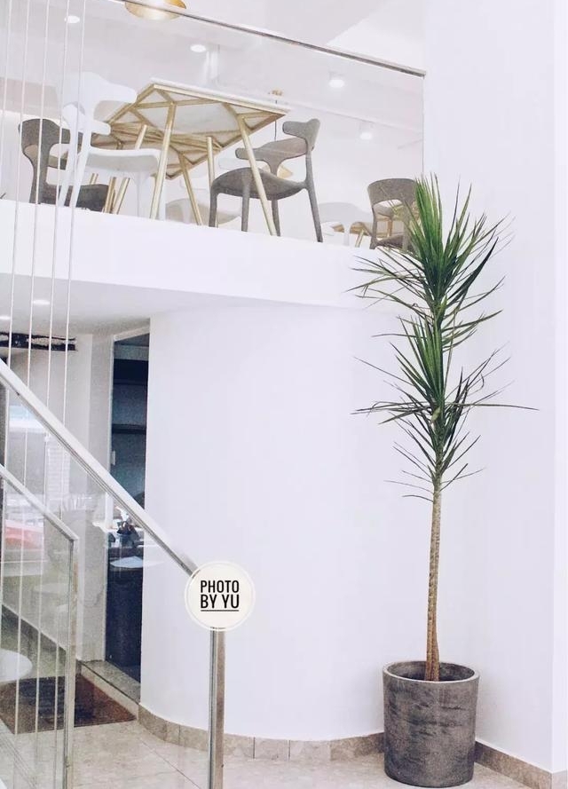 南宁这11家自带冷气的“网白”店,是拯救夏日的极简天堂!