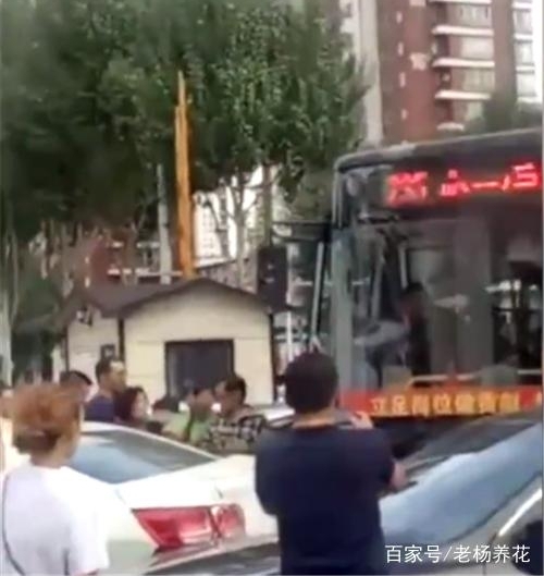 公交车司机好言提示,却遭中年男子拳打,公交车冲向凯迪拉克4S店