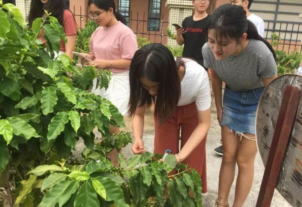 【大学生活动】体验咖啡的甜涩味道,感悟青春的美好时光!