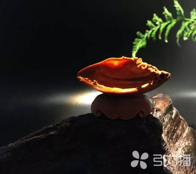 ���ݺ˵�Ů���ˣ��������ǧ��̬
