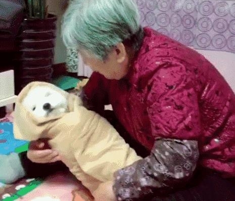 给奶奶买了只狗狗解闷 2个月后剧情大逆转 狗狗成了亲孙子