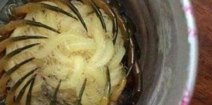 СŮ������Ͱ��Ķ��� ������ſ� һ�ж�������