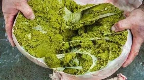 �����ؿ�ζ����Щ����û���ѵ�ʳ��������ͳ��������ʰ��·磡