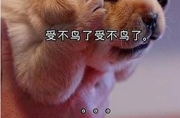 Ƶ���۲��ĺ��� ��ѧУ԰���Ӧ���Ļ����ܵ���ô��